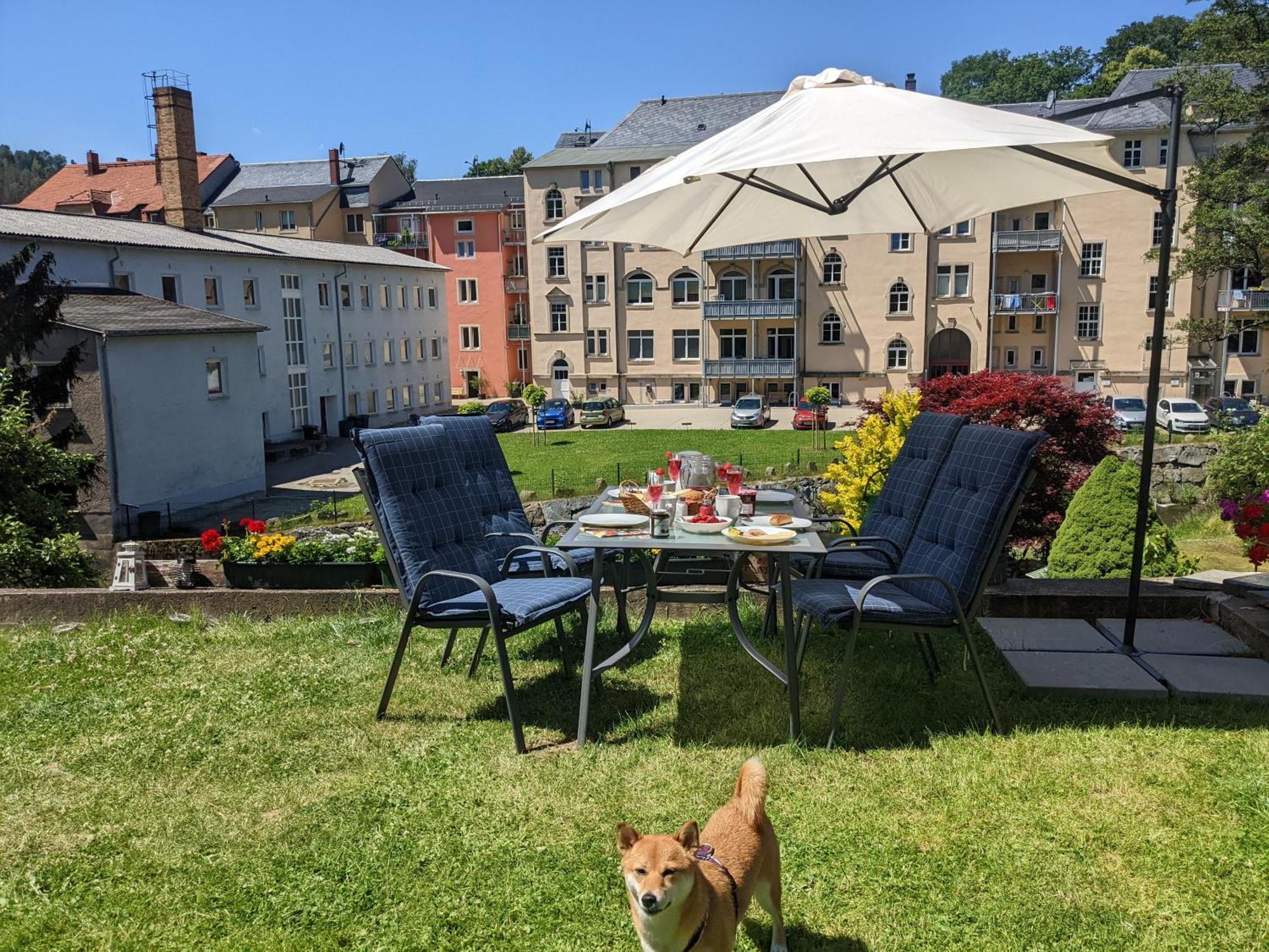 Uo - Urlaubsmagie - Helle Wohnung,Sauna,Whirlpool Sebnitz Bagian luar foto